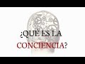 ¿Qué es la Conciencia? - Juan Manuel Vaz