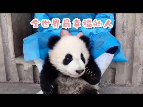 《熊貓早晚安》誰不羡慕奶爸奶媽的生活啊？ | iPanda熊貓頻道