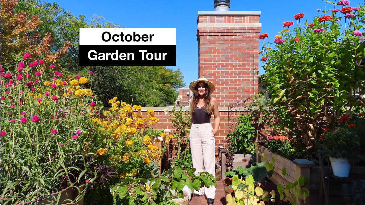 October Container Garden Tour | Rooftop Balcony Garden