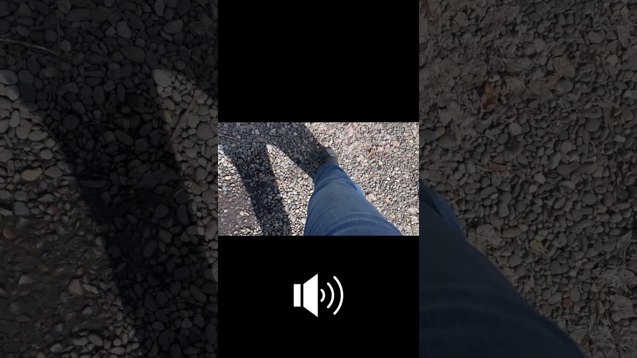 HELP! What is this WEIRD Noise In My Yard?