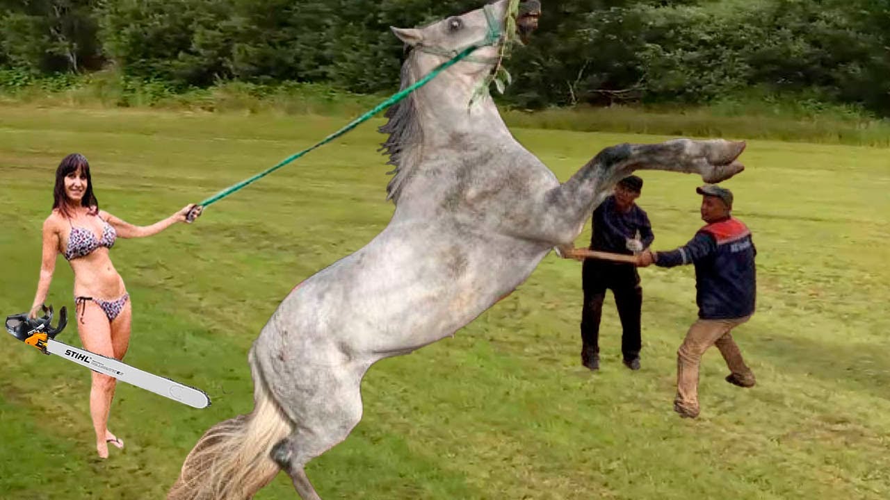 THIS HORSE'S HOOF RESCUE WILL LEAVE YOU SPEECHLESS! HORSE RESCUE