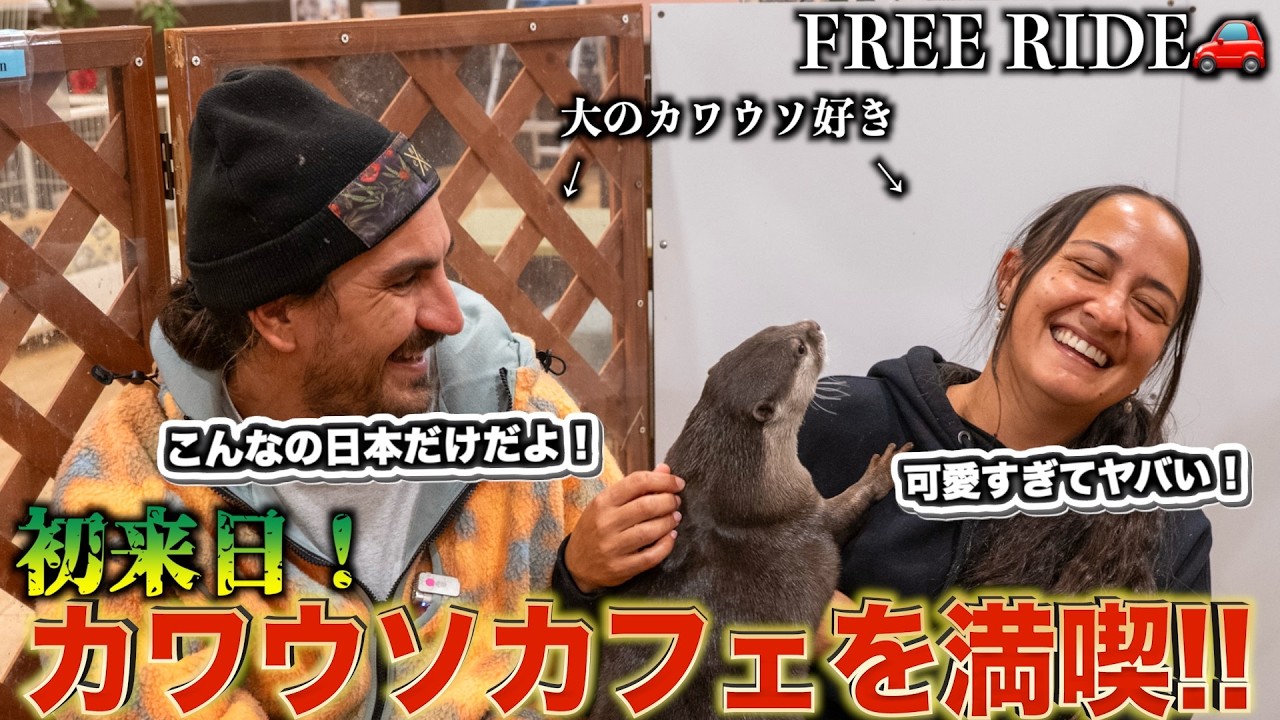 「信じられない...」カワウソ好きの初来日外国人を夢のカワウソカフェに連れて行ったら驚愕した　#FREERIDE #外国人 #おもてなし