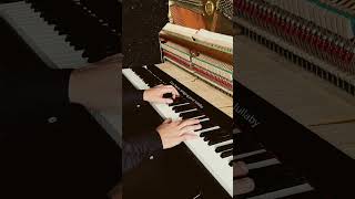 The Sweetheart Lullaby by @Willschrockmusic | Piano Cover by Paul Hankinson #autismawareness