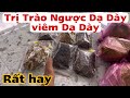 Bài thuốc trị trào ngược dạ dày, viêm dạ dày. PHAN HẢI Channel