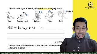 Cara mudah jawab soalan Rantai makanan | Sains tahun 5