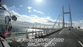 【新型コロナウィルス等々】過熱気味報道のクルーズ船 ダイアモンド・プリンセス号は  横浜港・大黒ふ頭　日常の中でみたら 至って普通だった件　 トラックドライバー日記
