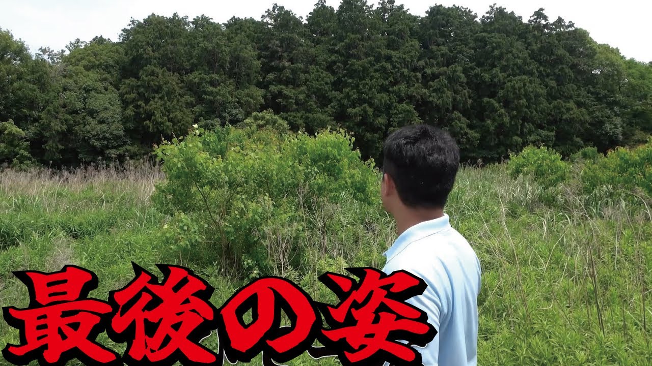 【中古】 崩壊する日本農業 Japan's fate] The abandoned farmland caused by 40% of farmers