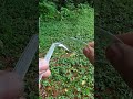 Brilliant Outdoor Lifehack: DIY Glasses from Spoons! #lifehacks #diycrafts #outdoors #creativeideas