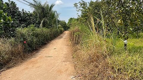 Đã Bán - Đất Đồng Nai, Long Khánh Bình Lộc, 1300m2 có 25m mặt tiền