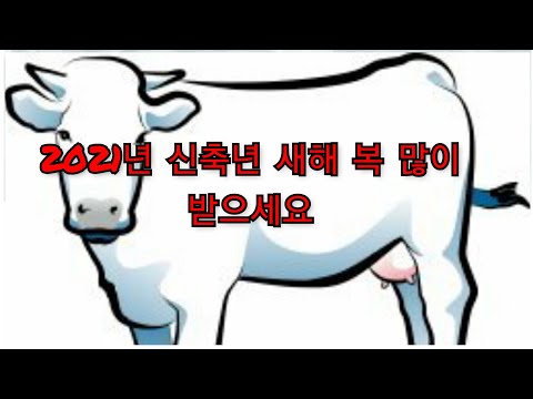 [김영남 개인택시티비] 2021년 신축년 새해 복 많이 받으세요.