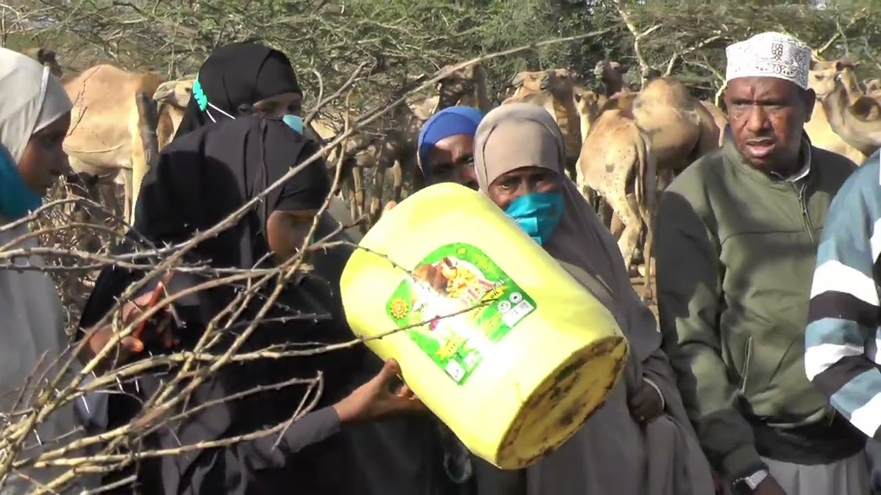 4. CAMEL MILK HYGIENE