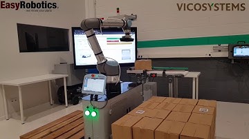 Vicosystems EasyPalletizer