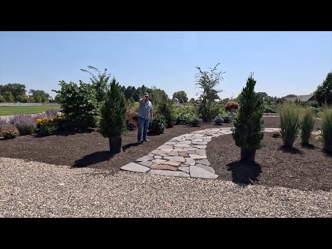 Wideo: Rośliny w ogrodzie przydomowym – Uprawa ogrodu przydomowego z zimowym zainteresowaniem