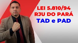 LAW 5810/94 - PARÁ PUBLIC SERVANT STATUTE - TAD and PAD - Professor Raphael Pinho screenshot 5