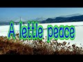 니콜플러그 A lettle peace