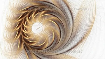 "FRAC MORPH - ANIMATION PART I" | Fractal flames Animation - Digital Fractal Art