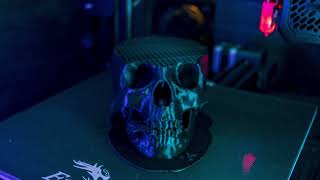 3D Print Skull Timelapse Vort3X