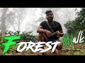 The Breathtaking Beauty of Coorg: Relaxing Forest Walk in Madikeri | South India Nature