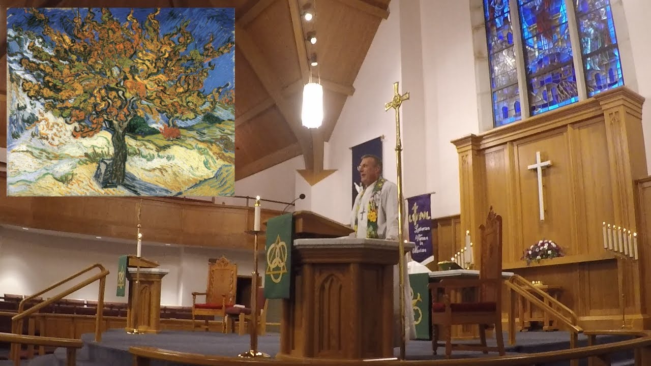sermon-moving-mulberry-trees-luke-17-6-youtube
