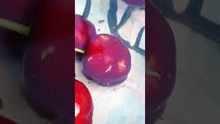 Comment faire sortir les vers des cerises? astuce