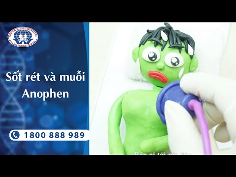 Video Bệnh sốt rét và muỗi Anophen | Video giáo dục sức khỏe... - youtube