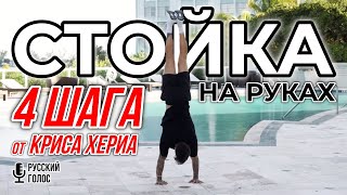 4 ШАГА к СТОЙКЕ НА РУКАХ | экспресс-обучение от КРИСА ХЕРИА