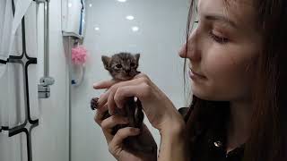 Wl69 Kris, Citty And Milk