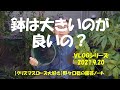 VLOGシリーズ 20210920（鉢は大きいのが良いの）