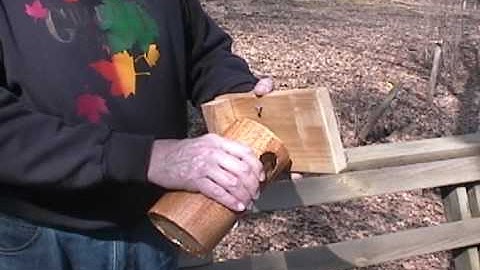 PlaceLidOnBluebirdHouse 0001