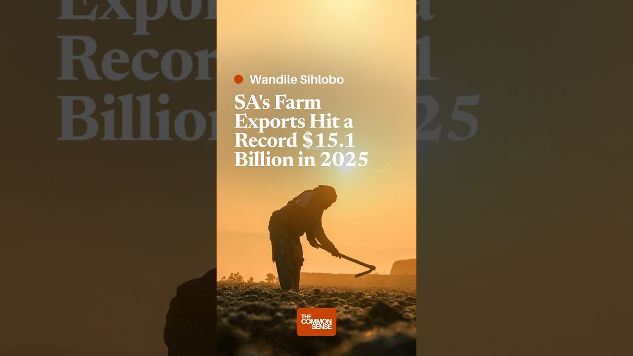 SA's Farm Exports Hit a Record $15.1 Billion in 2025