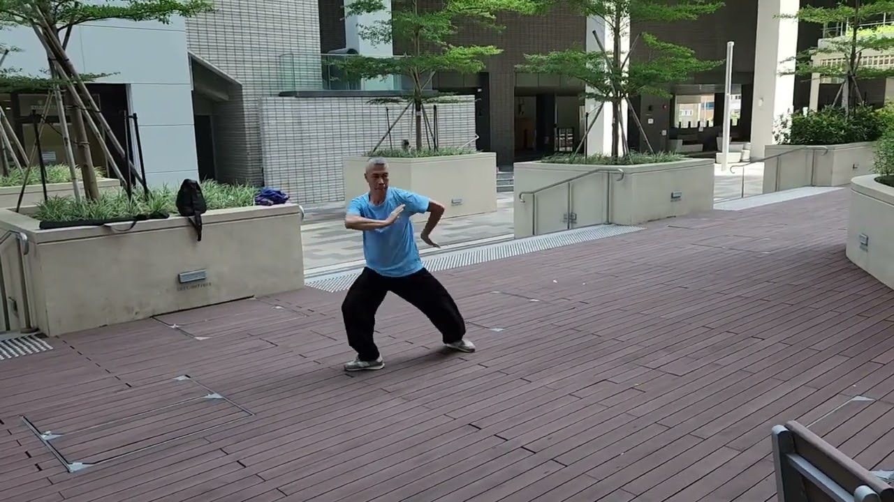 entityさん専用 八卦連環掌 八卦遊身掌 王樹金 王福来老師－王樹金老師