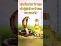 अगर घर में सांप आता है तो ये वीडियो जरूर देखें 🚫