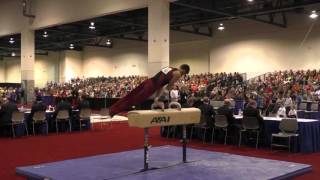 Robert Neff - Pommel Horse - 2016 Winter Cup Finals
