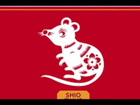 TERUNGKAP!! Inilah Ramalan Shio Tikus {Keberutungan Jodoh Kesehatan} dan Karir TERUNGKAP!! Inilah Ramalan Shio Tikus {Keberutungan Jodoh Kesehatan} dan Karir