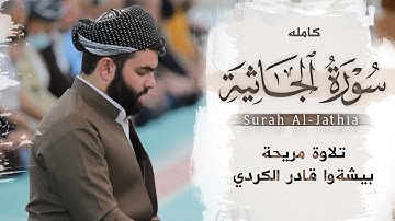 سورة الجاثية كاملة بصوت بيشةوا قادر الكردي| Full Surah Al-Jathiyah Peshawakurdi
