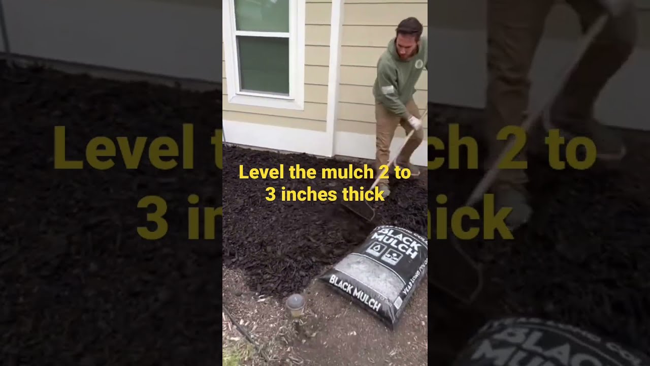  550 Mulch Job In Roughly 4 Hours