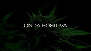 Cannabis no Brasil: Ciência, Mercado e Política em um Só Lugar | ExpoCannabis 2025