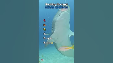 Ranking the best SHARK MOMENTS