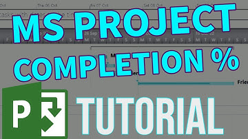 MS Project - How to set completion percentage