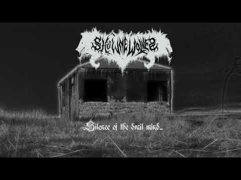 Show Me Wolves - Silence of the frail mind (2022)