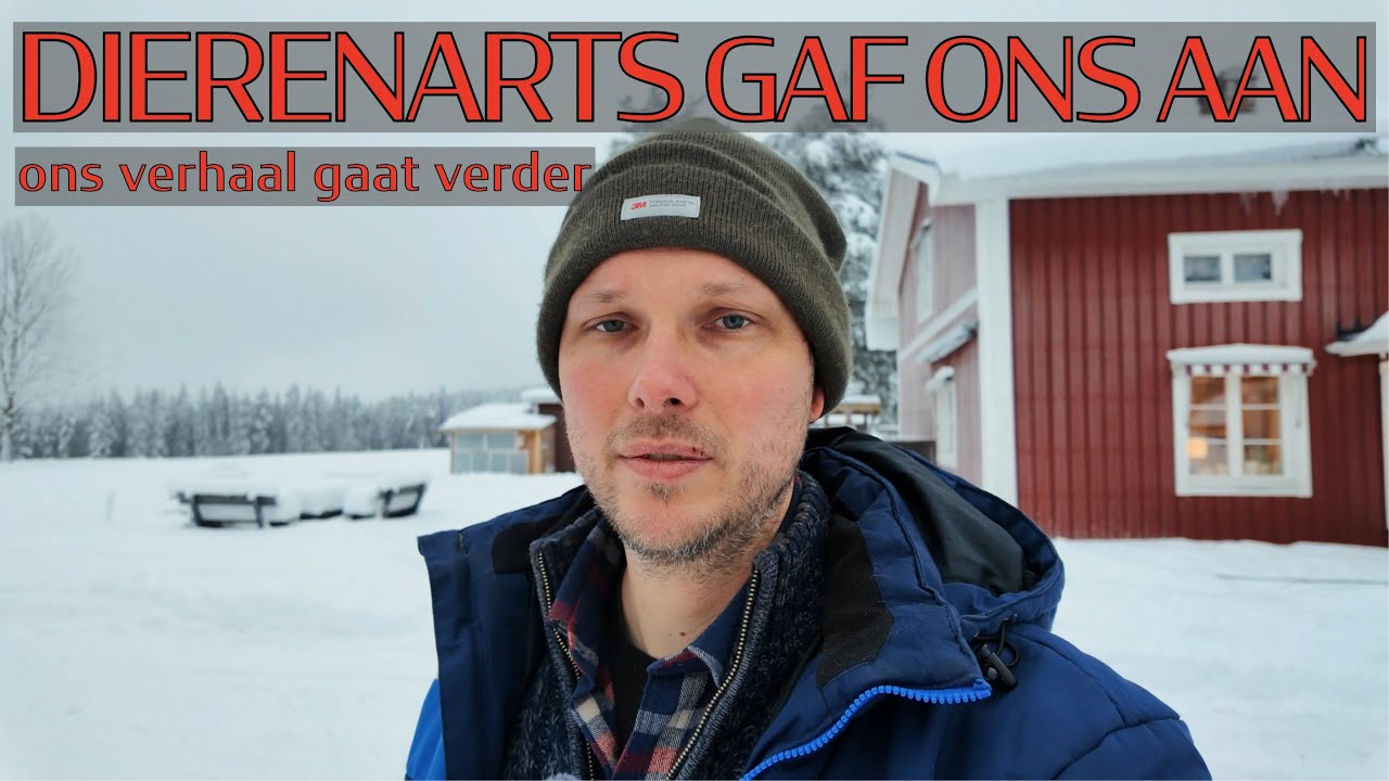 Een Zweedse dierenarts gaf ons aan bij de autoriteiten — Onze schokkende ervaring