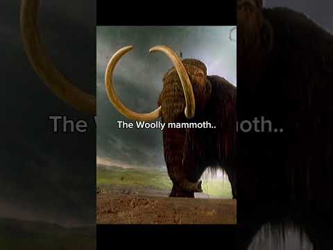 They suffered a BUNCH... #prehistoric #mammoth #iceage #mesozoic #dinosaur #prehistory #shorts #fyp