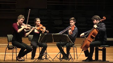 Joseph Haydn: String quartet in g-minor op.74/3 "Rider" , 2. Largo assai - Aris Quartett live