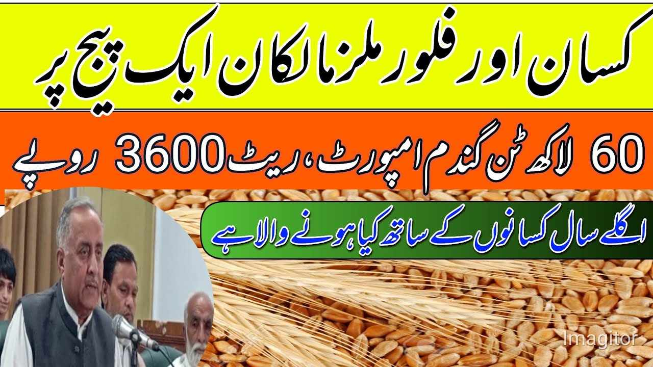 Punjab wheat support final price announcement/wheat price in Punjab ...