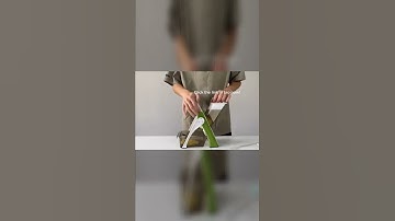 Dash Safe Mandoline Slicer