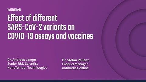 Effect of different SARS-CoV-2 variants on COVID 19 assays and vaccines