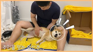 Mother dog asking man to help give birth... [ Ep.3 ]