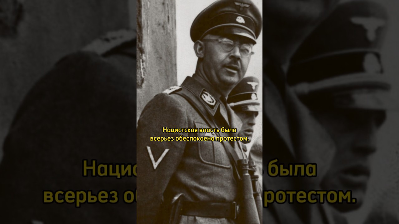 Как немецкие женщины спасли своих еврейских мужей 