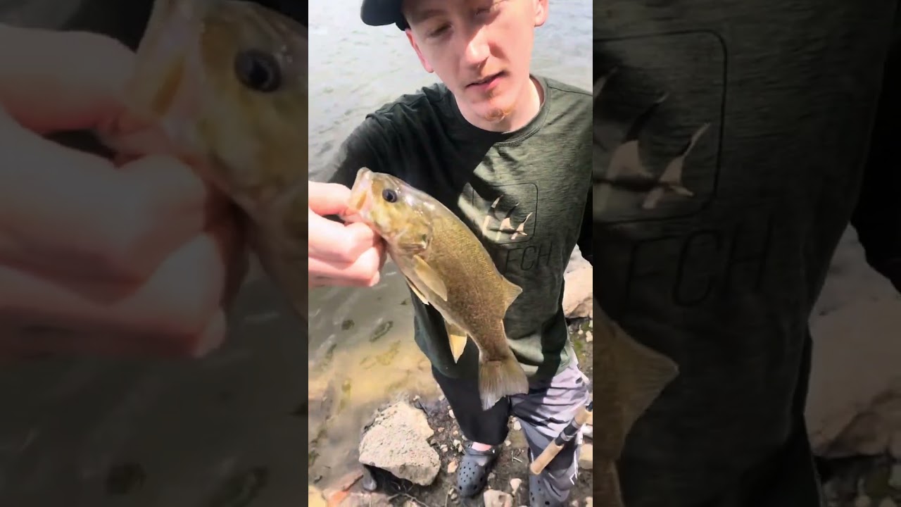 Channelcat fishing and smallmouth bass