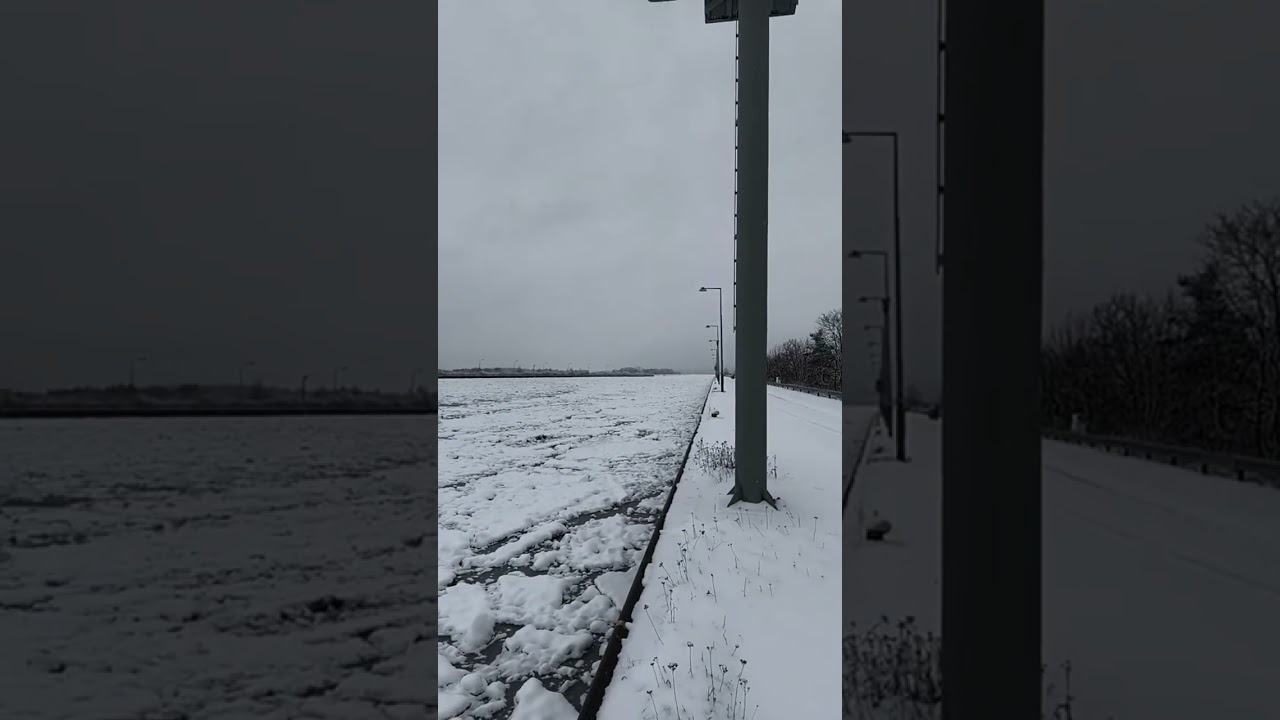 Livestream-Highlight